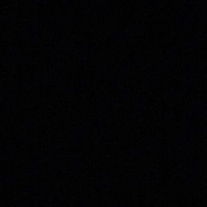 Meet your Posher, Baylor